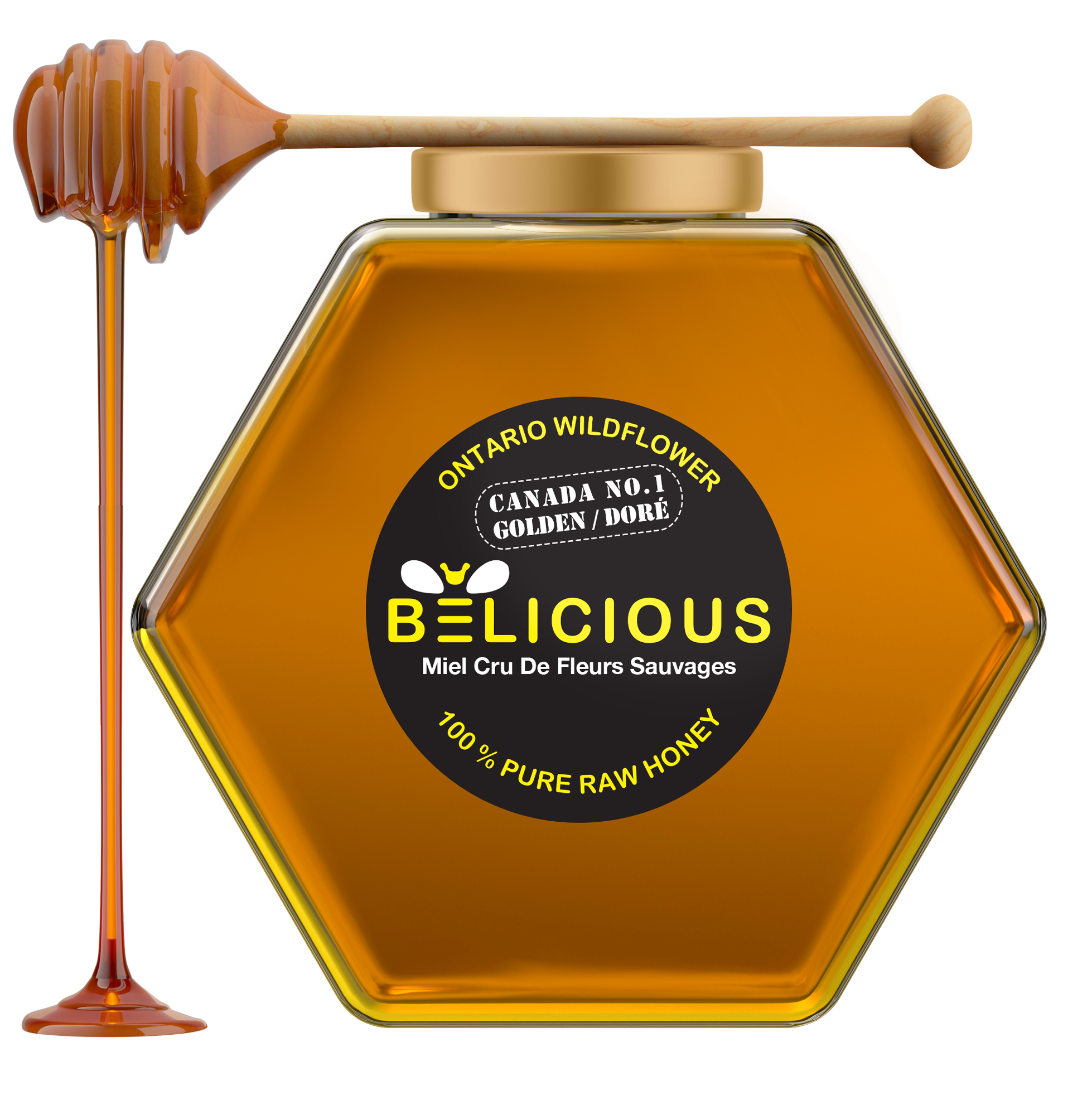 Premium Honey Jars with Dipper